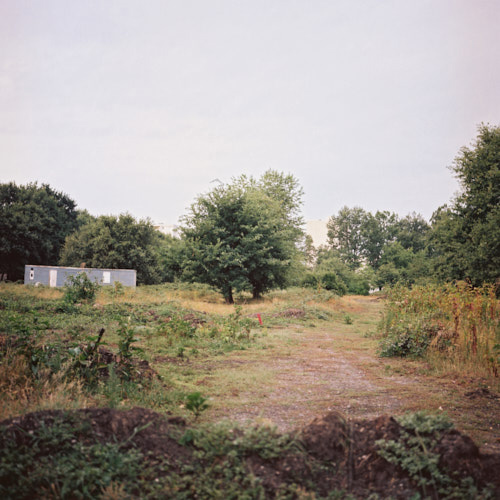 photographie | bel-air | &copy; patrice de Santa Coloma